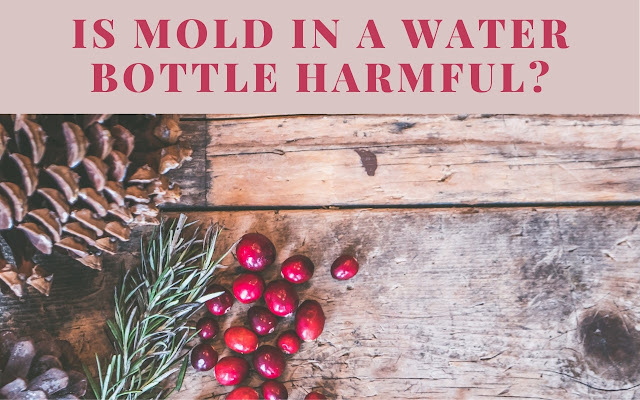 Is mold in a water bottle harmful