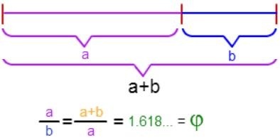 Apa Sih Bedanya Pi dengan Phi??!