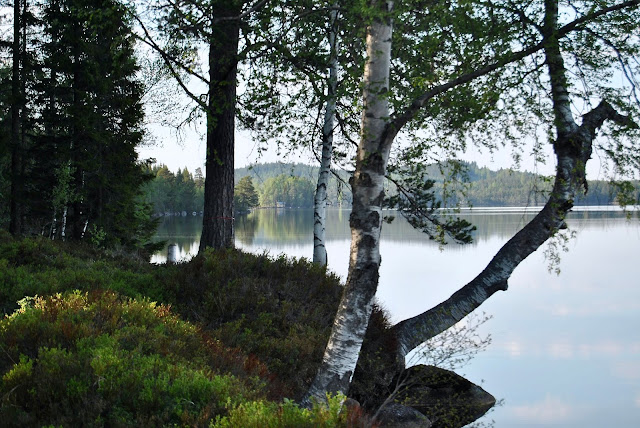 Wiev lake Sweden