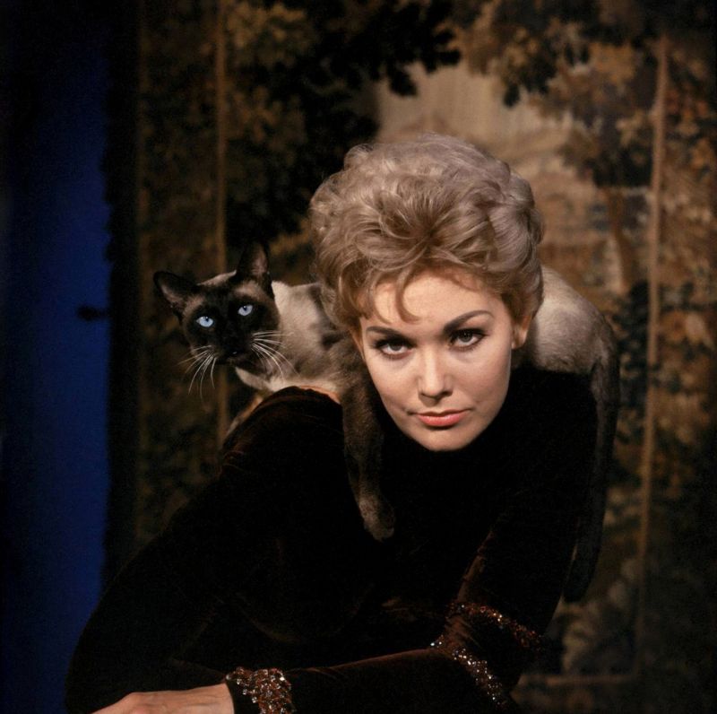 20 Lovely Photos of Kim Novak With Her Cat Pyewacket in “Bell, Book