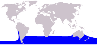 Güney gerçek balina yunusu doğal yaşam alanı haritası