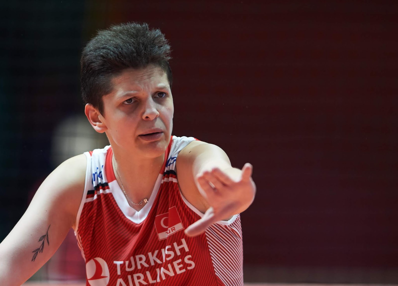 Каракурт ядовитый или нет