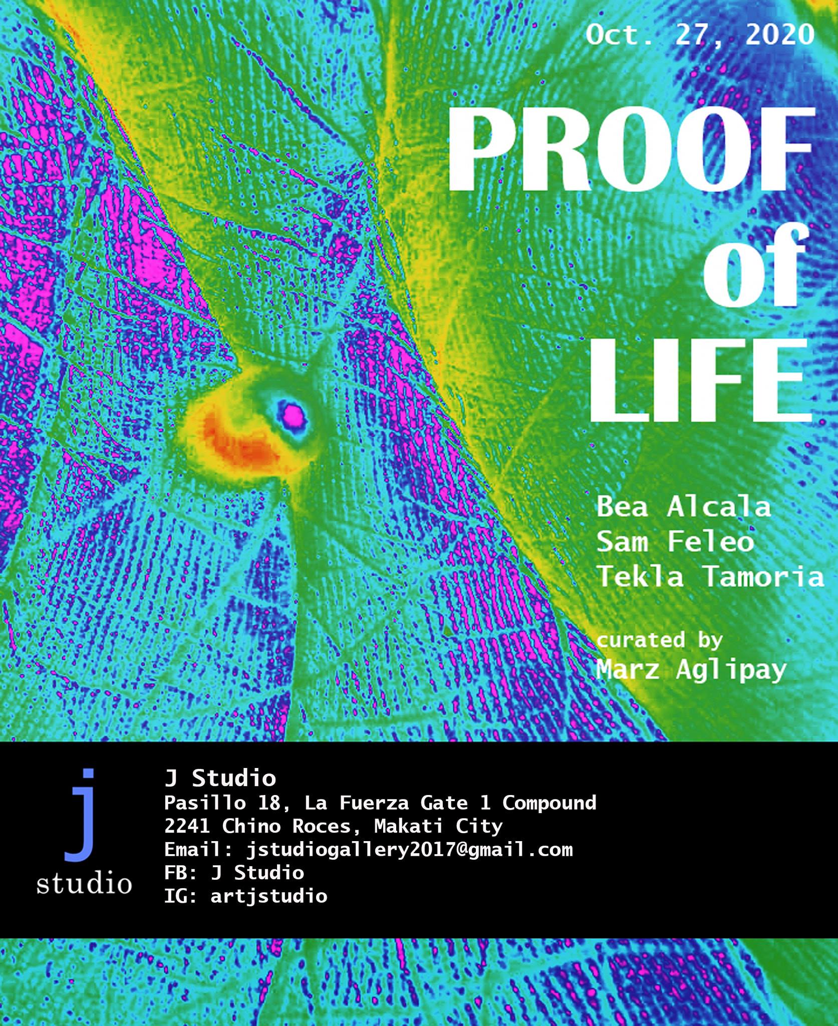 Proof of Life Proof of Life