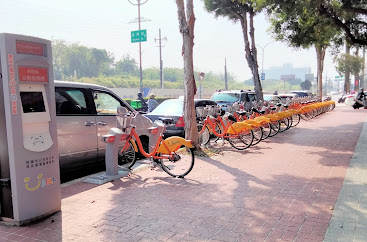 中壢景點[莒光公園]櫻花開滿園.疫情期間最佳賞景、拍照、野餐的好去處