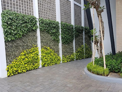 Jasa Pembuatan Vertical garden