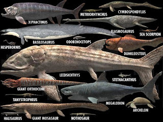 Tamaño Leedsichthys comparado con otros animales marinos prehistóricos