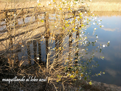 mirador en una laguna