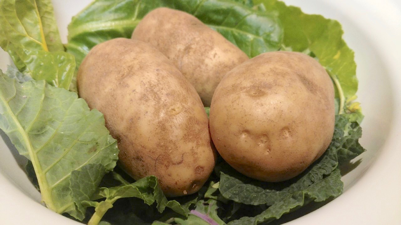 Sacramento Digs Gardening Try these healthier mashed potatoes