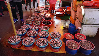 DSC08407.JPG
