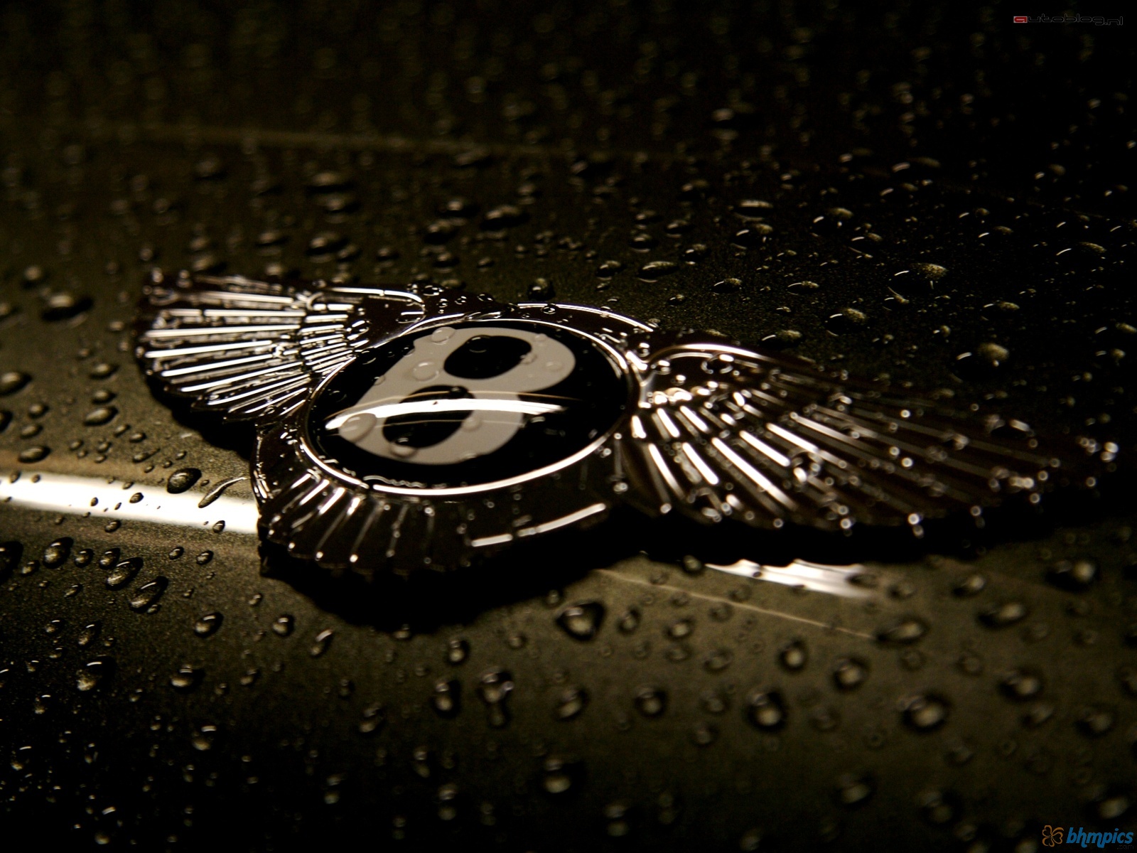 Bentley Logo Wallpaper Bentley Logo Wallpaper