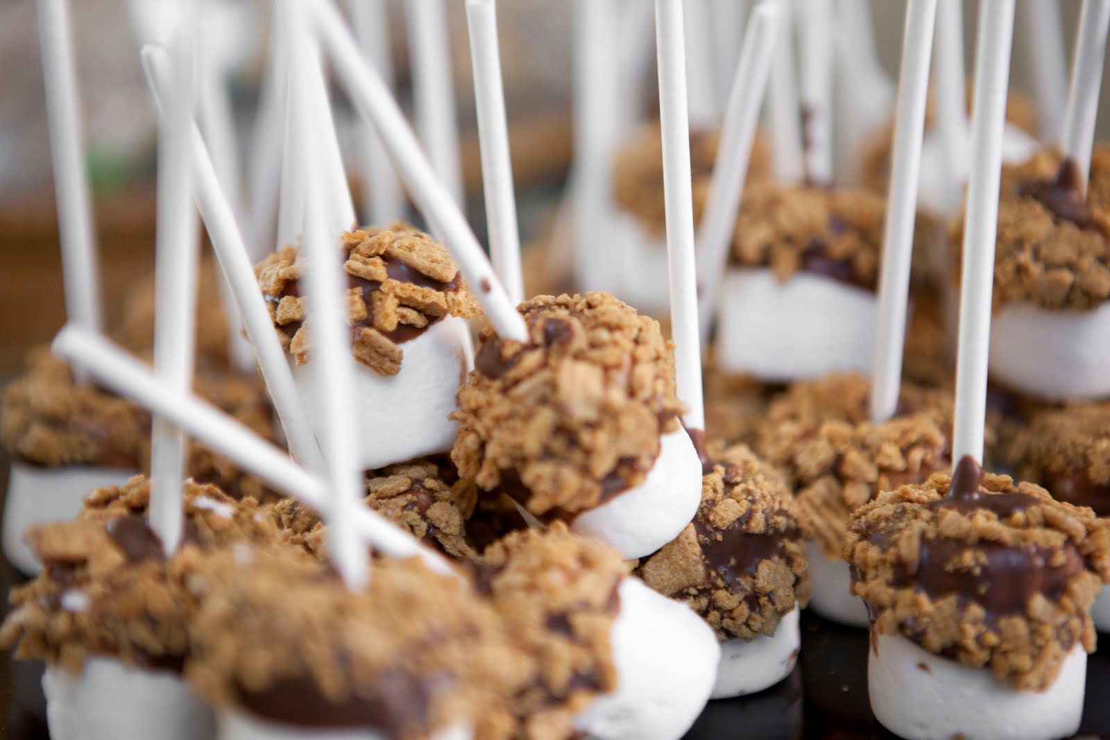 Jessica Auten Camping themed baby shower...