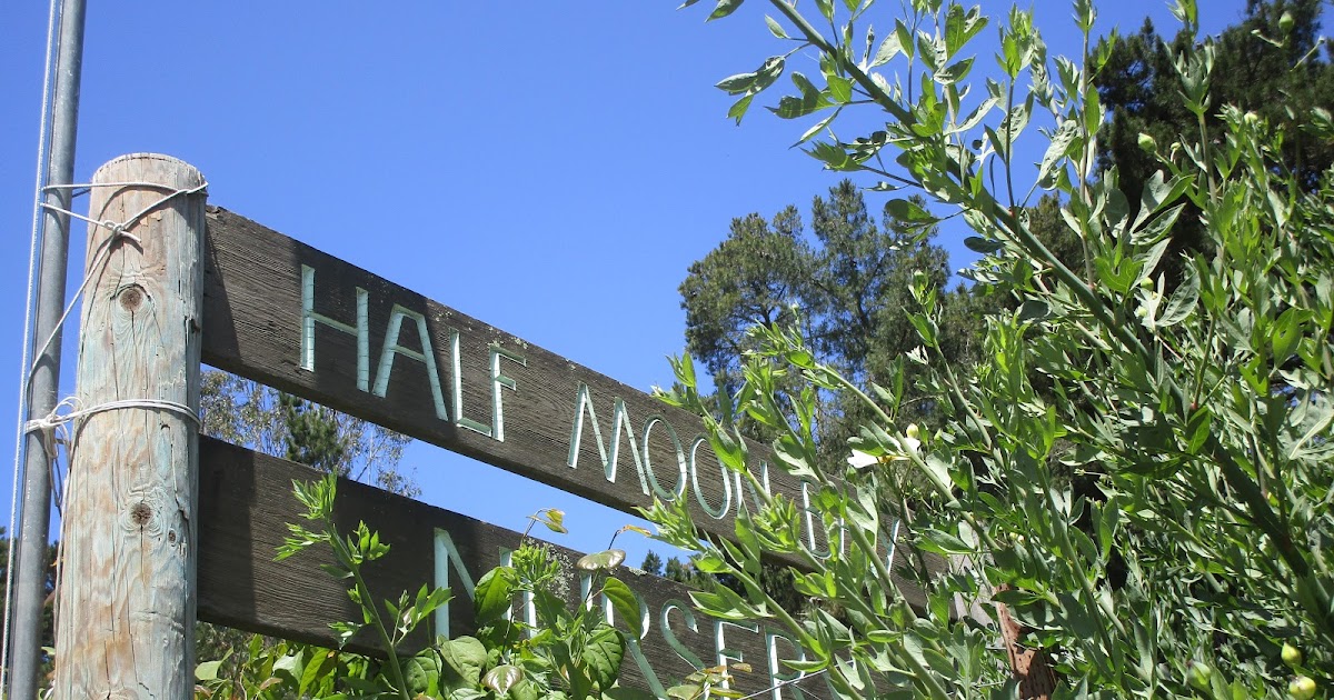 Adventures in Weseland A Visit to Half Moon Bay Nursery