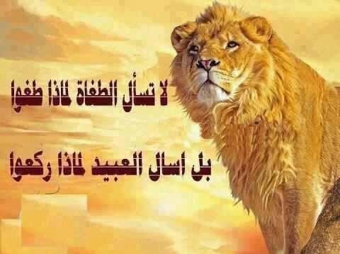اجمل الصور المكتوب عليها حكم ومواعظ