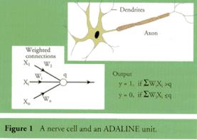 Nory: QUE ES UNA RED NEURONAL