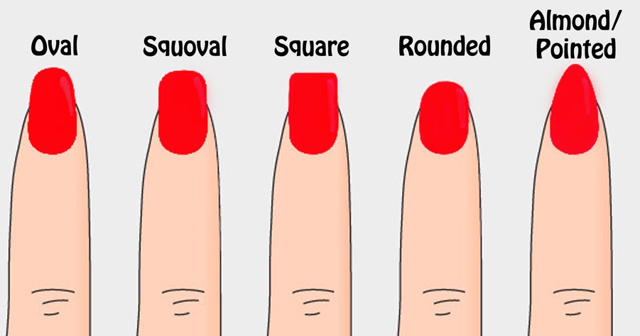 Types of nail shapes - sakicpa
