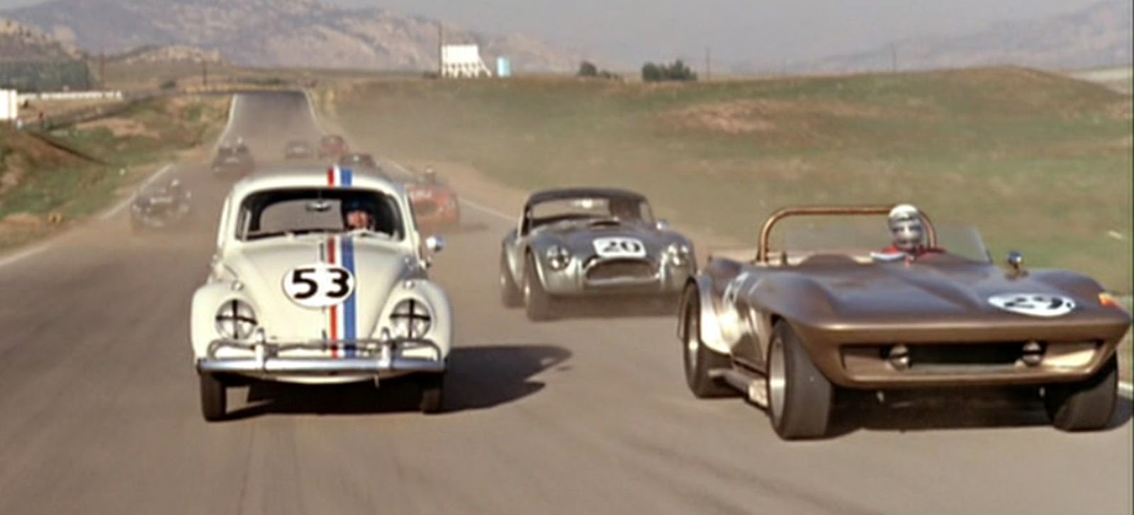 racing+cobra.JPG