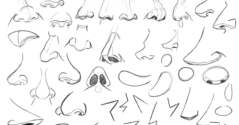 Learning drawing principles: noses,mouths and ears