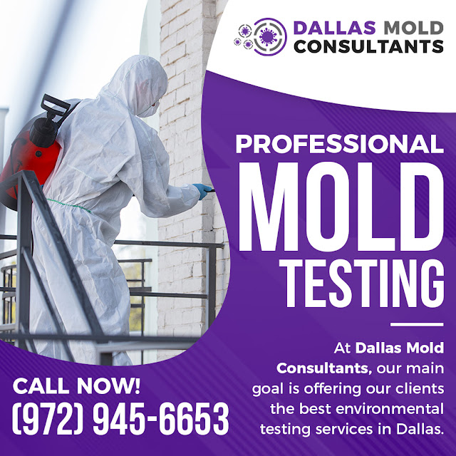 mold removal company