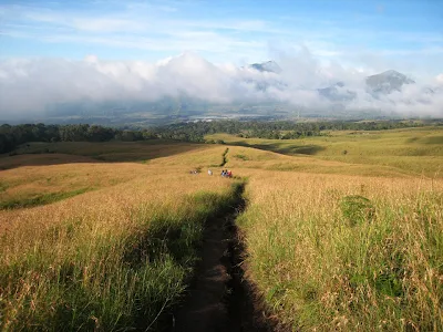 Indahnya Padang Savanah Sembalun Lawang - Gunung Rinjani