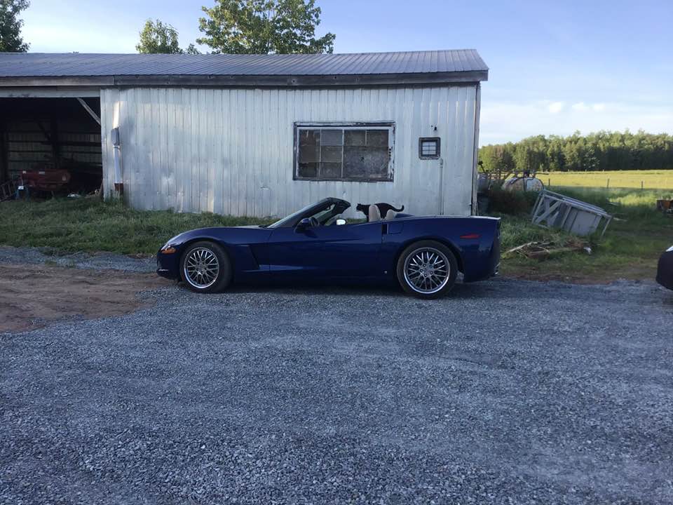 River Valley Vettes Corvette Club 19922023 RVV's ice cream trip to