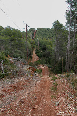 Ruta: Pic del Vent (816 m). Una ruta con su encanto (Els 100 Cims)