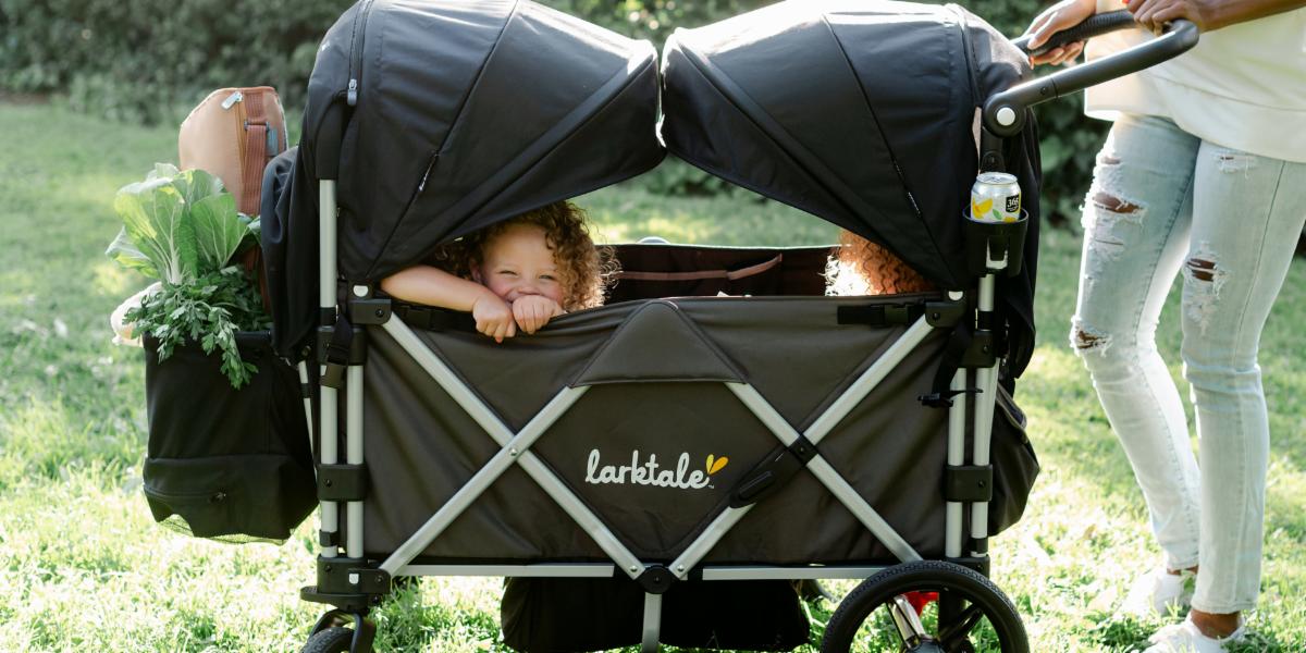 fisher price wagon stroller