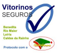 Seguros Auto