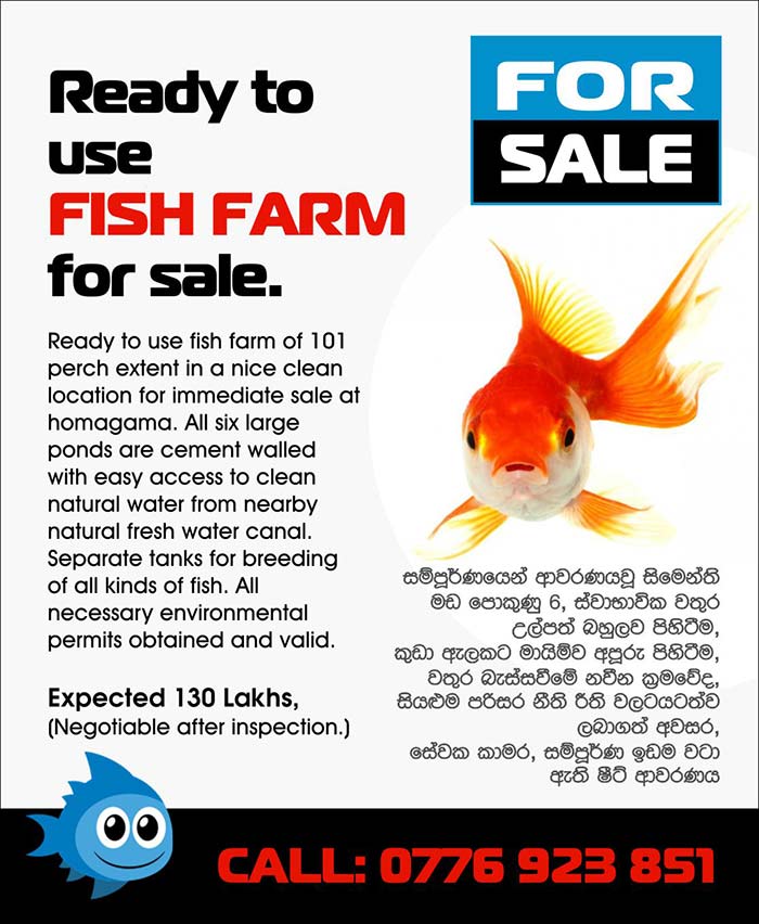Ready to use FISH FARM for sale in Homagama