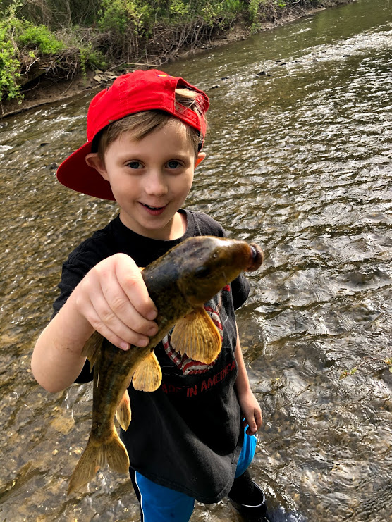 Trout Fishing in Pine Creek in North Park, Pittsburgh