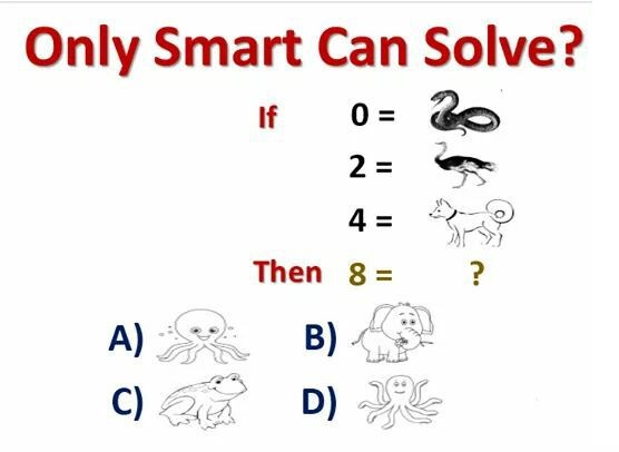 Solve a logic riddle