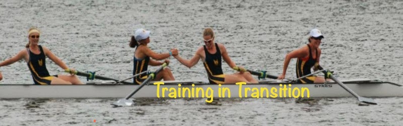 Training In Transition