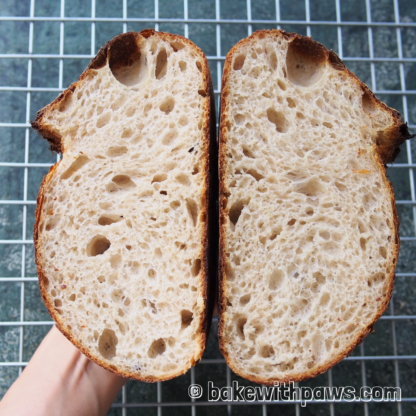 Basic Open Crumb Sourdough Bread BAKE WITH PAWS