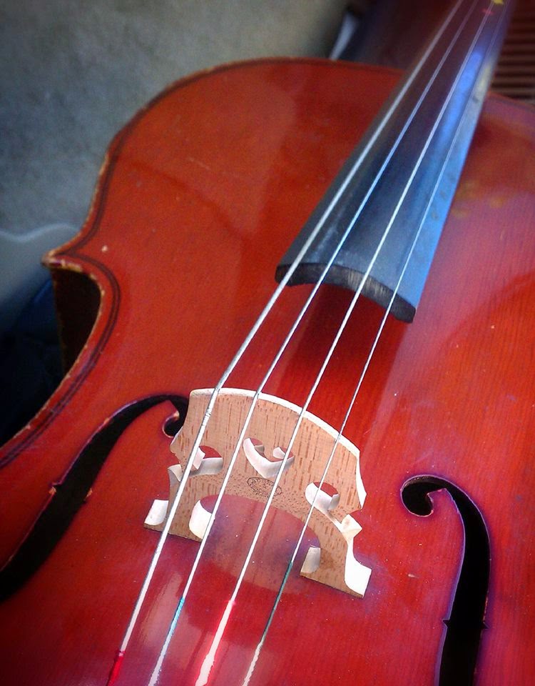 cello music instrument arts