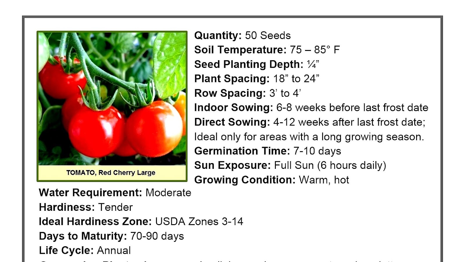 Are Tomatoes Fruits Or Vegetables Vege Choices