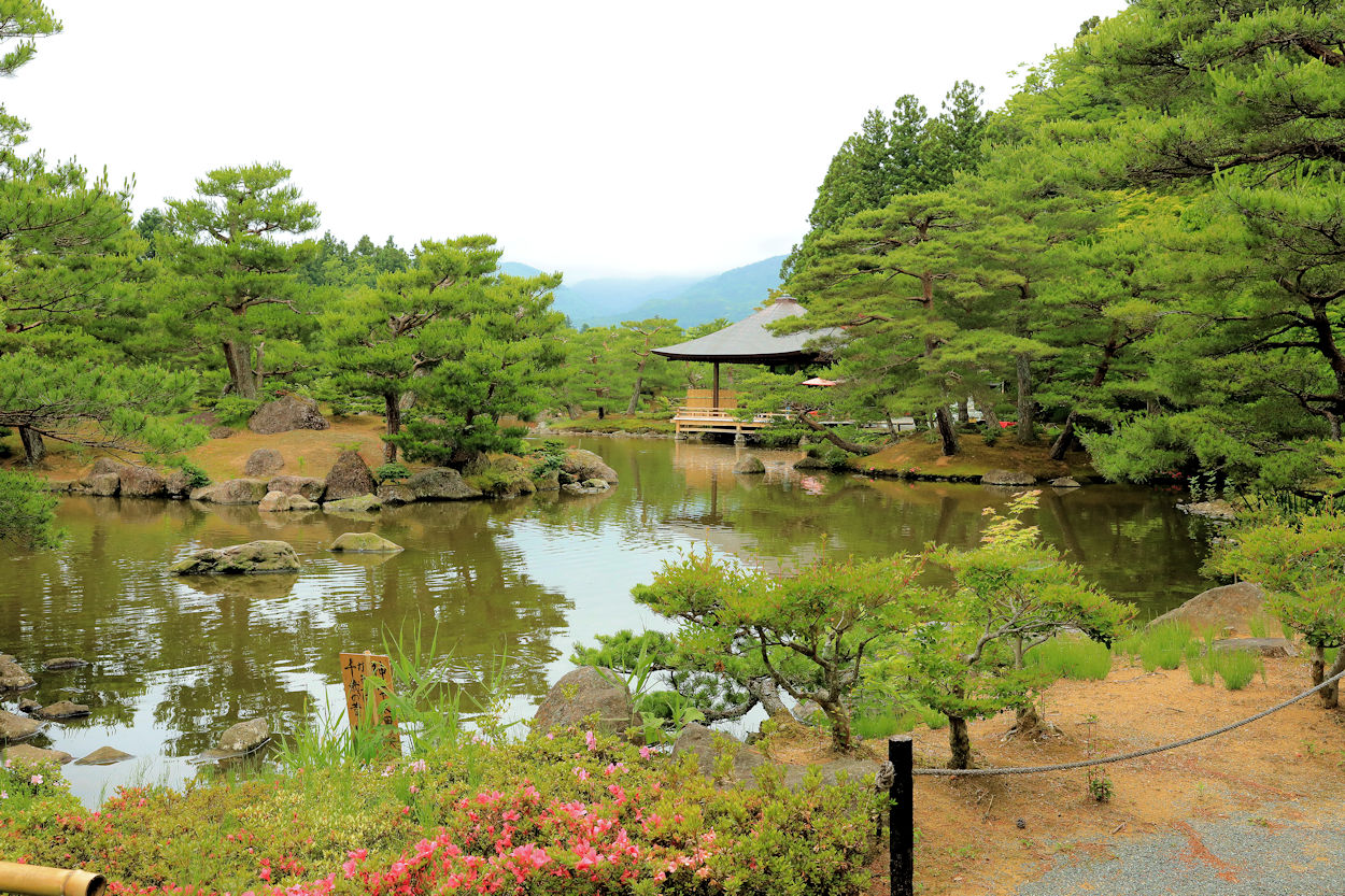 つぶのブログ 17 6 福島市 浄楽園 あやめ