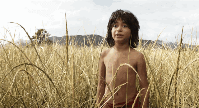 El ataque de Shere Khan en El libro de la selva - Cine de Escritor El ataque de Shere Khan en El libro de la selva - Cine de Escritor