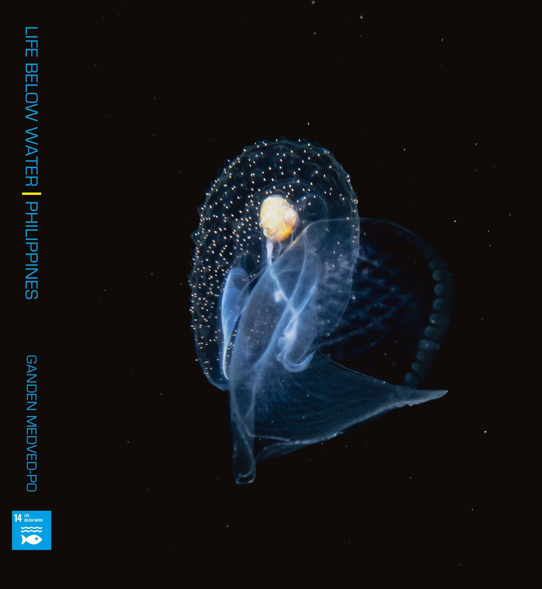 Life Below Water Book Cover