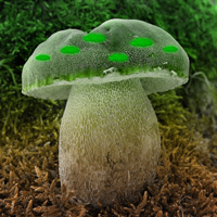 Games2rule Mushroom Green…