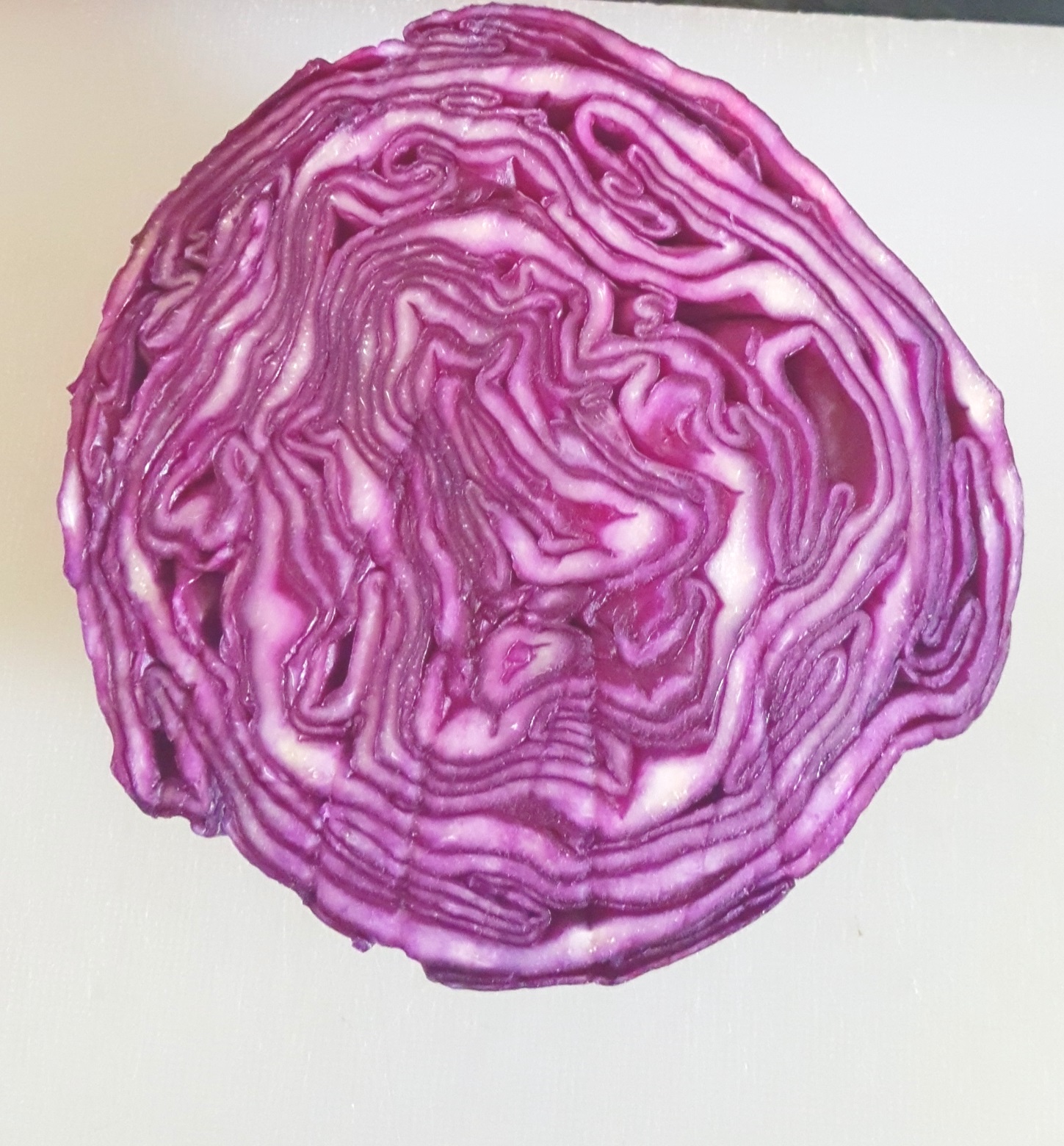 Food Profile Red Cabbage