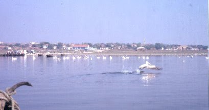 10 BALIKESİR MANYAS