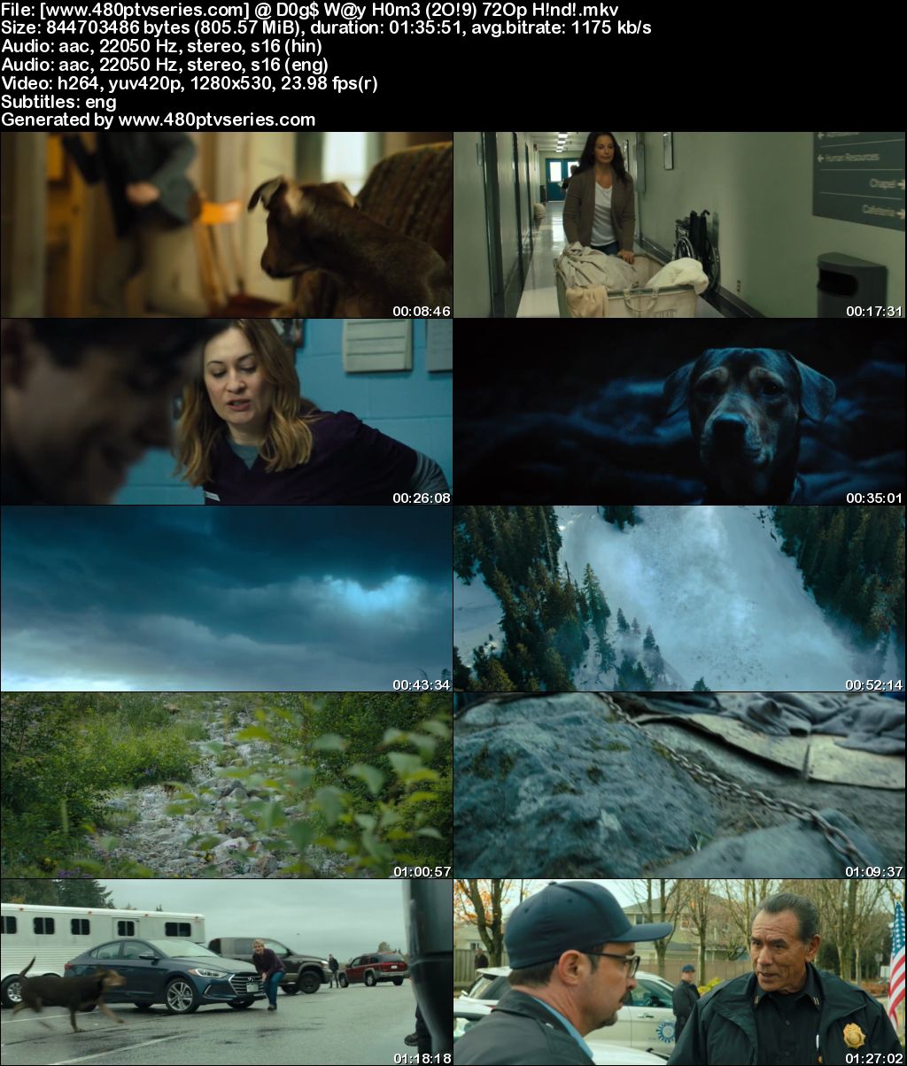 Watch Online Free A Dog's Way Home (2019) Full Hindi Dual Audio Movie Download 480p 720p Bluray Watch Online Free A Dog's Way Home (2019) Full Hindi Dual Audio Movie Download 480p 720p Bluray