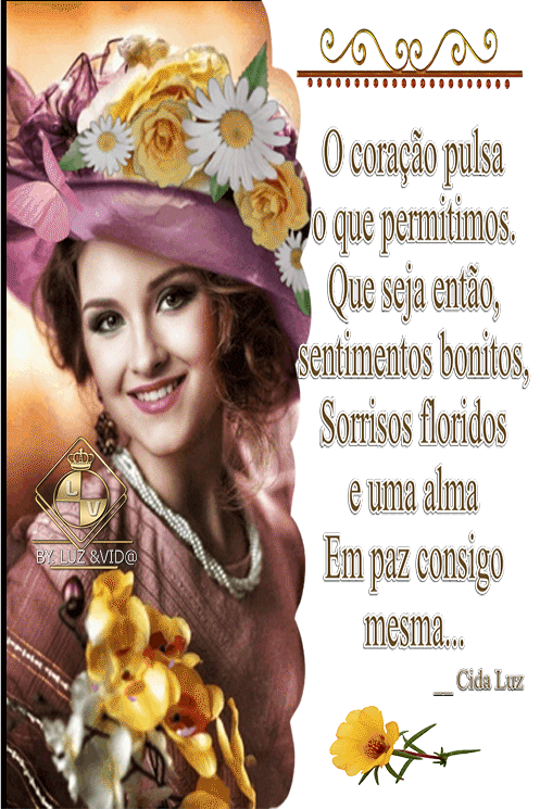 NOVO101-%2528MB%2529maryluz.gif