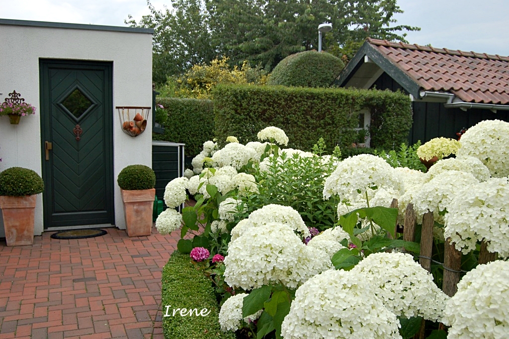 Gartenglück Schon Wieder Gartenfotos Anfang Juli