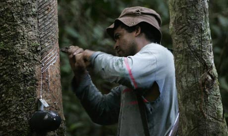 how to say rubber tapper in spanish how to say rubber tapper in spanish