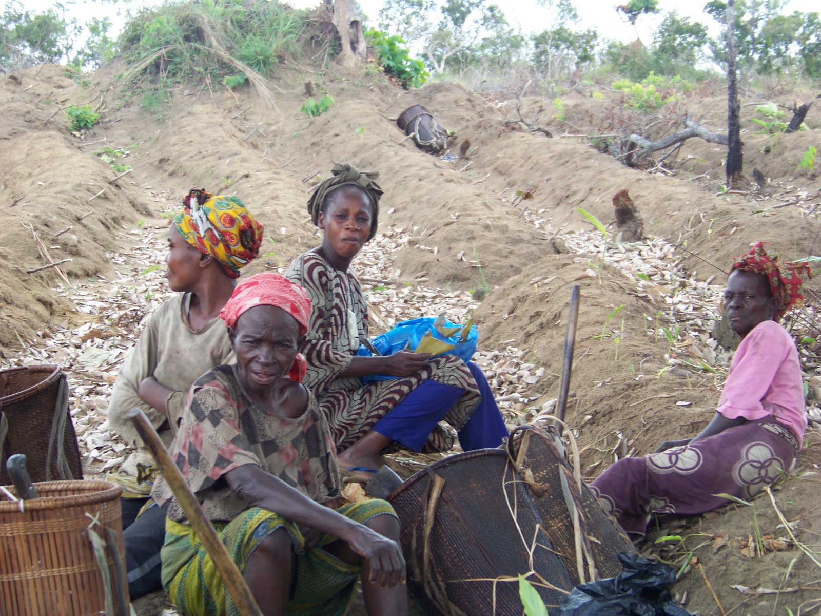 PRODER-INFOS: Pauvreté rurale au Congo : Description et analyse