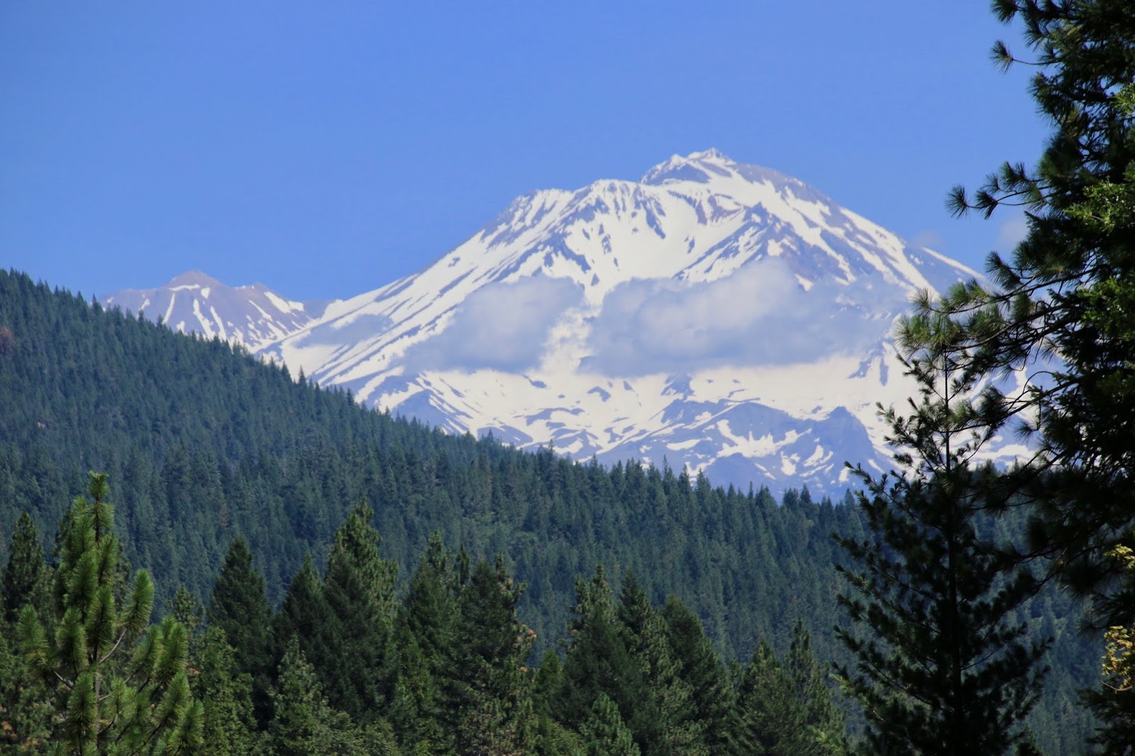 Travels with Twinkles Dunsmuir, California