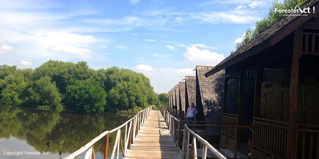 wisata alam mangrove jakarta