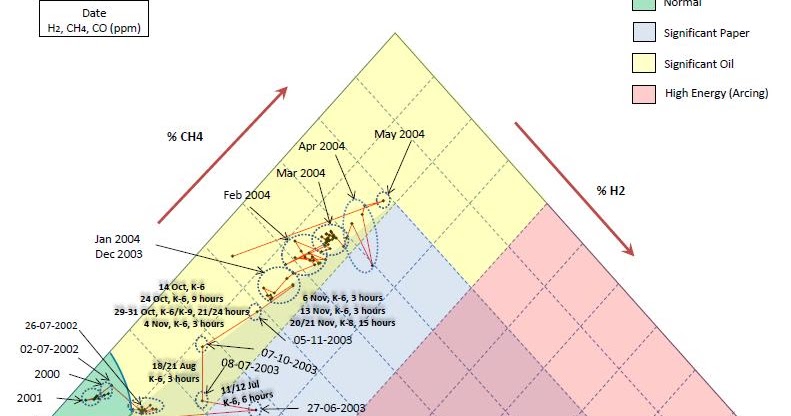 Polytrauma case report picture