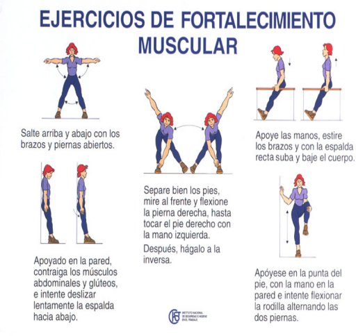 ERGONOMÍA Y LA PREVENCIÓN DE RIESGOS: LESIONES MUSCULOESQUELETICAS
