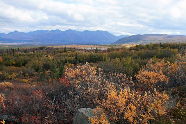 DENALI HIGHWAY - LA ULTIMA FRONTERA. CRONICAS DE ALASKA (6)